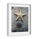 Regalos De La Orilla Vii - Elena Ray | Cuadro decorativo de Canvas Lab