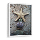 Regalos De La Orilla Vii - Elena Ray | Cuadro decorativo de Canvas Lab