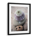 Regalos De La Orilla Viii - Elena Ray | Cuadro decorativo de Canvas Lab