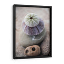 Regalos De La Orilla Viii - Elena Ray | Cuadro decorativo de Canvas Lab