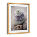 Regalos De La Orilla Viii - Elena Ray | Cuadro decorativo de Canvas Lab