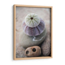 Regalos De La Orilla Viii - Elena Ray | Cuadro decorativo de Canvas Lab