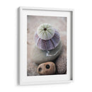 Regalos De La Orilla Viii - Elena Ray | Cuadro decorativo de Canvas Lab