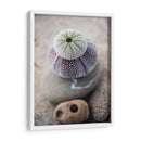 Regalos De La Orilla Viii - Elena Ray | Cuadro decorativo de Canvas Lab