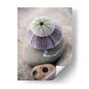 Regalos De La Orilla Viii - Elena Ray | Cuadro decorativo de Canvas Lab