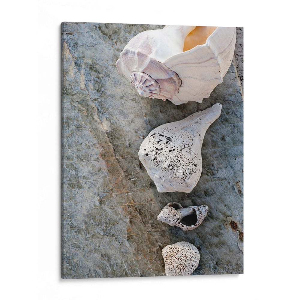 Regalos De La Orilla Ix. - Elena Ray | Cuadro decorativo de Canvas Lab