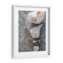 Regalos De La Orilla Ix. - Elena Ray | Cuadro decorativo de Canvas Lab