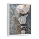 Regalos De La Orilla Ix. - Elena Ray | Cuadro decorativo de Canvas Lab