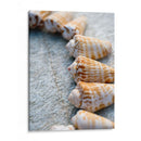 Regalos De La Orilla X - Elena Ray | Cuadro decorativo de Canvas Lab