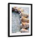 Regalos De La Orilla X - Elena Ray | Cuadro decorativo de Canvas Lab