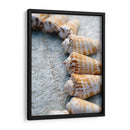 Regalos De La Orilla X - Elena Ray | Cuadro decorativo de Canvas Lab