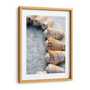 Regalos De La Orilla X - Elena Ray | Cuadro decorativo de Canvas Lab