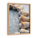 Regalos De La Orilla X - Elena Ray | Cuadro decorativo de Canvas Lab