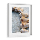 Regalos De La Orilla X - Elena Ray | Cuadro decorativo de Canvas Lab