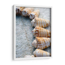 Regalos De La Orilla X - Elena Ray | Cuadro decorativo de Canvas Lab