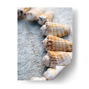 Regalos De La Orilla X - Elena Ray | Cuadro decorativo de Canvas Lab