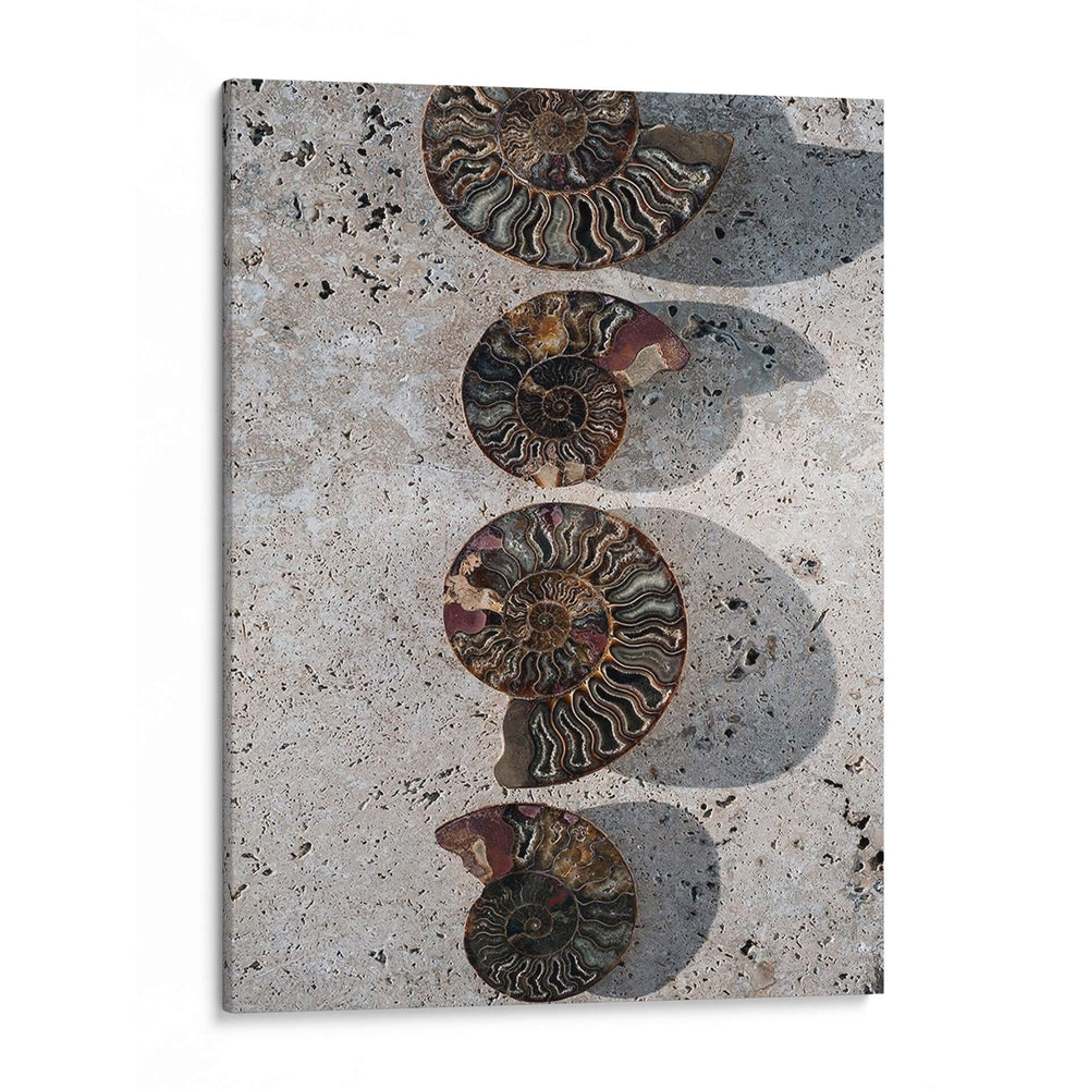 Regalos De La Orilla Xii. - Elena Ray | Cuadro decorativo de Canvas Lab