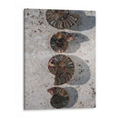 Regalos De La Orilla Xii. - Elena Ray | Cuadro decorativo de Canvas Lab