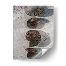 Regalos De La Orilla Xii. - Elena Ray | Cuadro decorativo de Canvas Lab