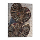 Regalos De La Orilla Xiii - Elena Ray | Cuadro decorativo de Canvas Lab