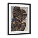 Regalos De La Orilla Xiii - Elena Ray | Cuadro decorativo de Canvas Lab