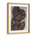 Regalos De La Orilla Xiii - Elena Ray | Cuadro decorativo de Canvas Lab