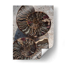 Regalos De La Orilla Xiii - Elena Ray | Cuadro decorativo de Canvas Lab