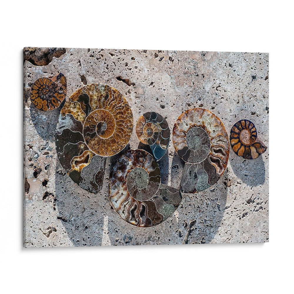 Regalos De La Orilla Xiv - Elena Ray | Cuadro decorativo de Canvas Lab