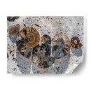 Regalos De La Orilla Xiv - Elena Ray | Cuadro decorativo de Canvas Lab