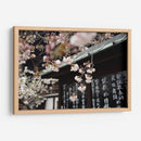 La dulce Sakura | Cuadro decorativo de Canvas Lab