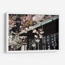La dulce Sakura | Cuadro decorativo de Canvas Lab
