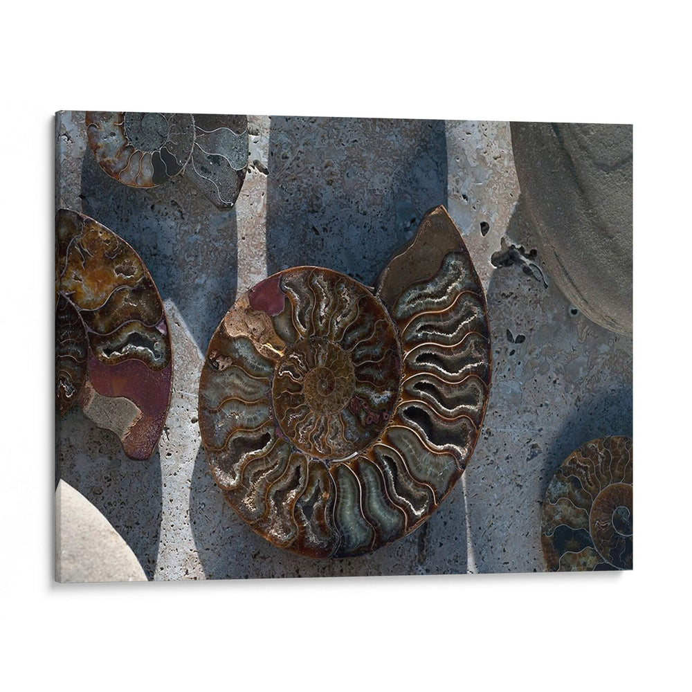 Regalos De La Orilla Xvi - Elena Ray | Cuadro decorativo de Canvas Lab