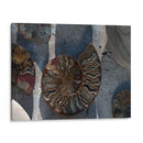 Regalos De La Orilla Xvi - Elena Ray | Cuadro decorativo de Canvas Lab