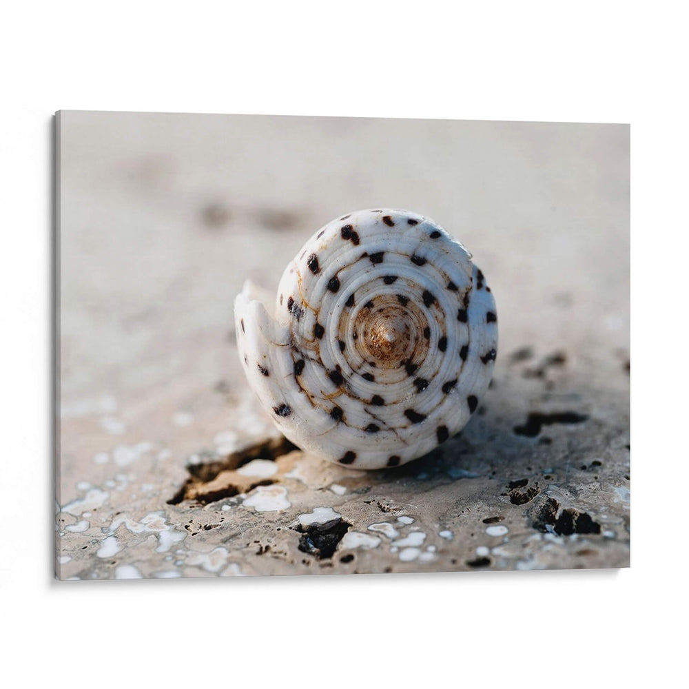 Regalos De La Orilla Xvii - Elena Ray | Cuadro decorativo de Canvas Lab
