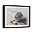 Regalos De La Orilla Xvii - Elena Ray | Cuadro decorativo de Canvas Lab