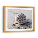Regalos De La Orilla Xvii - Elena Ray | Cuadro decorativo de Canvas Lab
