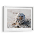 Regalos De La Orilla Xvii - Elena Ray | Cuadro decorativo de Canvas Lab