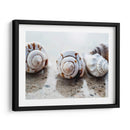 Regalos De La Orilla Xviii - Elena Ray | Cuadro decorativo de Canvas Lab
