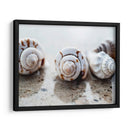 Regalos De La Orilla Xviii - Elena Ray | Cuadro decorativo de Canvas Lab