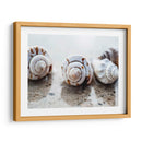 Regalos De La Orilla Xviii - Elena Ray | Cuadro decorativo de Canvas Lab