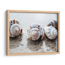 Regalos De La Orilla Xviii - Elena Ray | Cuadro decorativo de Canvas Lab