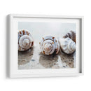 Regalos De La Orilla Xviii - Elena Ray | Cuadro decorativo de Canvas Lab