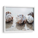 Regalos De La Orilla Xviii - Elena Ray | Cuadro decorativo de Canvas Lab