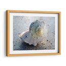 Regalos De La Orilla Xix. - Elena Ray | Cuadro decorativo de Canvas Lab