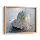 Regalos De La Orilla Xix. - Elena Ray | Cuadro decorativo de Canvas Lab