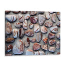 Regalos De La Tierra I - Elena Ray | Cuadro decorativo de Canvas Lab