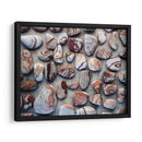 Regalos De La Tierra I - Elena Ray | Cuadro decorativo de Canvas Lab