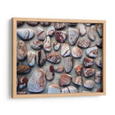 Regalos De La Tierra I - Elena Ray | Cuadro decorativo de Canvas Lab