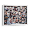 Regalos De La Tierra I - Elena Ray | Cuadro decorativo de Canvas Lab