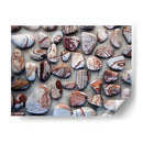 Regalos De La Tierra I - Elena Ray | Cuadro decorativo de Canvas Lab